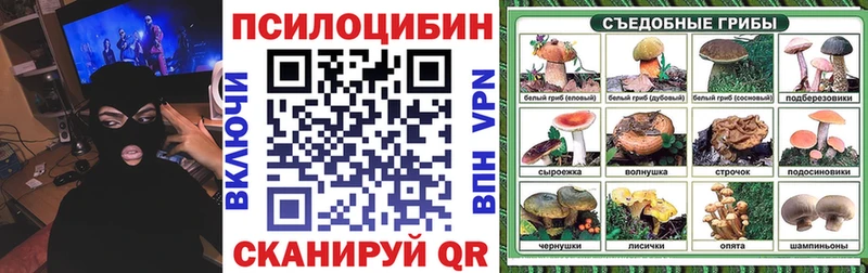 Псилоцибиновые грибы Psilocybe  Тайга 